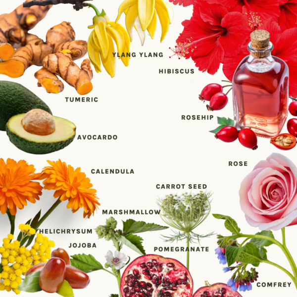 sunshine elixir antioxidant face oil 1